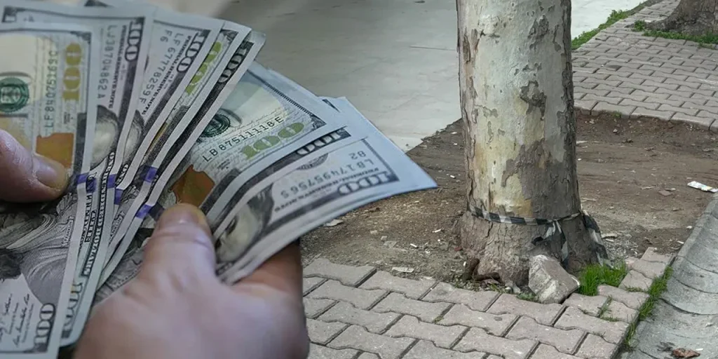 Scoperto sacchetto di 60.000 dollari sotto un albero: polizia in cerca del proprietario