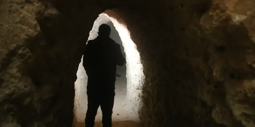 Richiesta di invio del testo completo dell'articolo