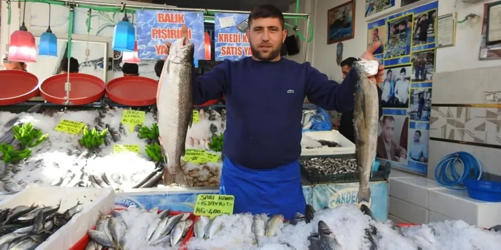 Pesce al mercato del Mar Nero: prezzo al chilogrammo scende a 100 lira