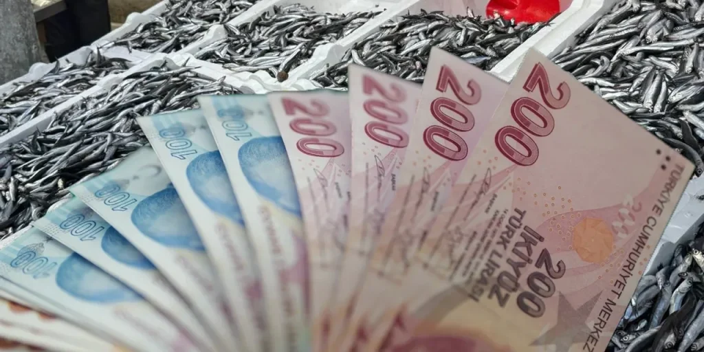 Prezzo dell'anchoveta nel Mar Nero triplica a causa della sospensione della pesca