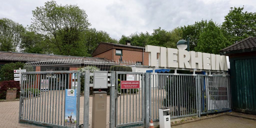Ospedale per animali di Bochum denuncia uso improprio delle donazioni: rifiuti smaltiti come discarica