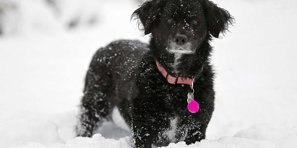 Maltempo estremo mette a dura prova il rifugio di Duisburg