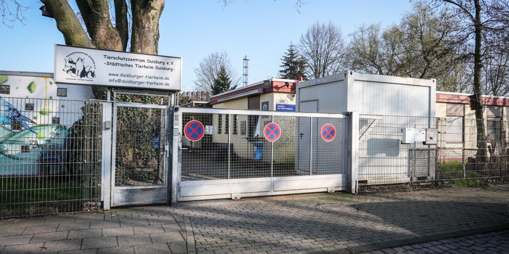 Il rifugio per animali di Duisburg in crisi a causa del freddo improvviso