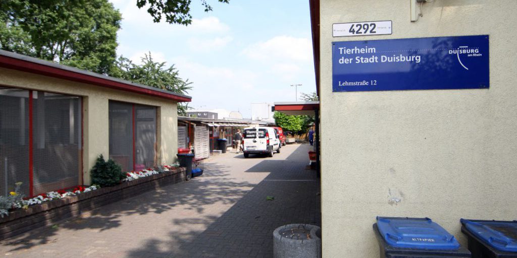 Rifugio di Duisburg: immagini di animali in condizioni di disagio suscitano preoccupazione