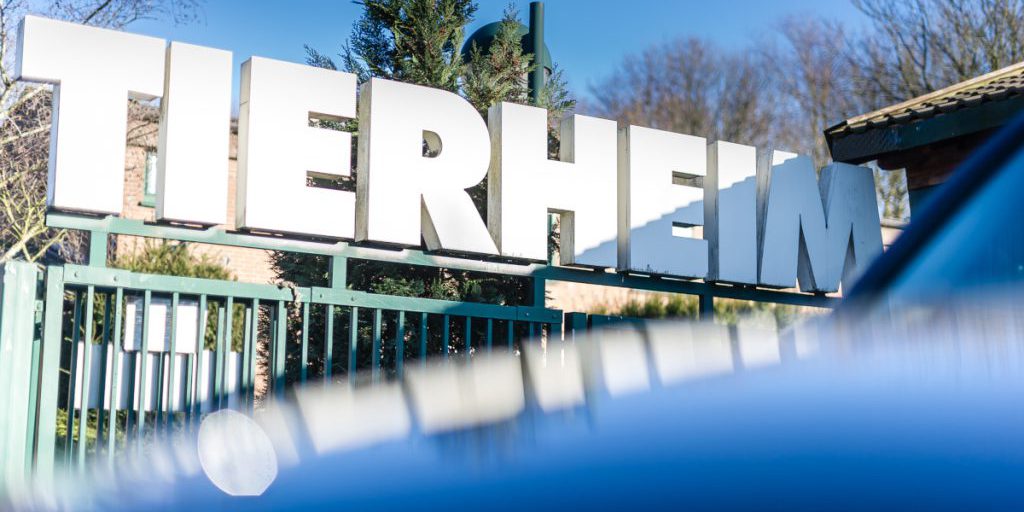 Bambini toccano il cuore del personale di un rifugio per animali in NRW a Natale