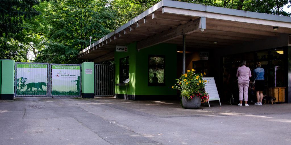 Situazione critica nel rifugio per animali della Renania Settentrionale-Vestfalia: il difficile compito dei curatori nel garantire il benessere degli animali