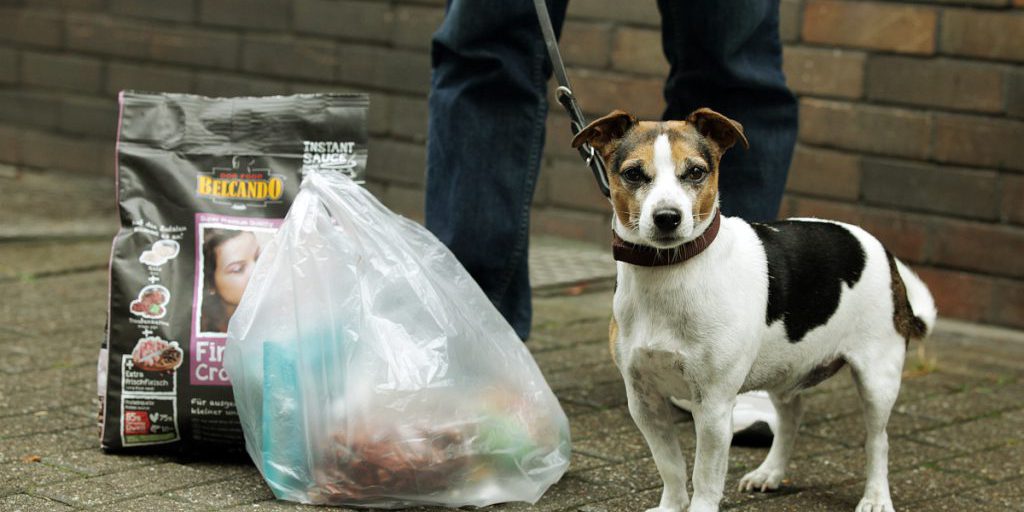 Tiertafel Duisburg tobt nach dreister Aktion bei Kaufland – „Du solltest Dich schämen!“