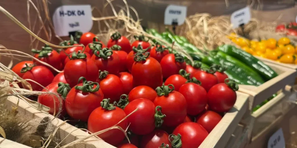 Export di semi in Turchia salgono a 35,7 milioni di dollari