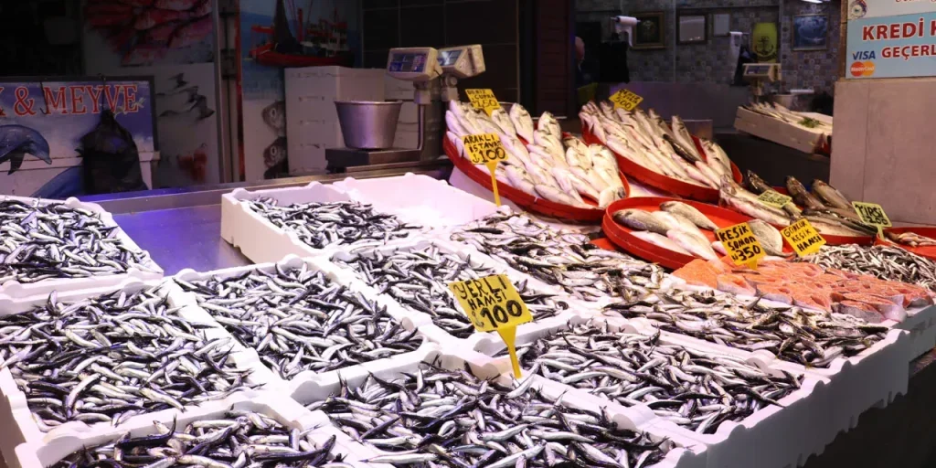Prezzi dei pesci a Trabzon aumentano a causa del maltempo