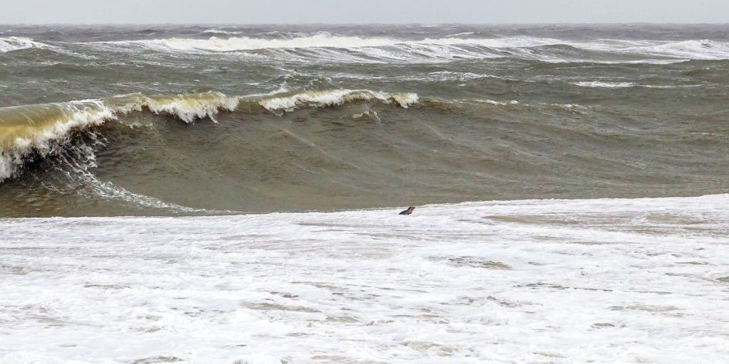 Giappone: avviso di tsunami dopo forte terremoto sottomarino