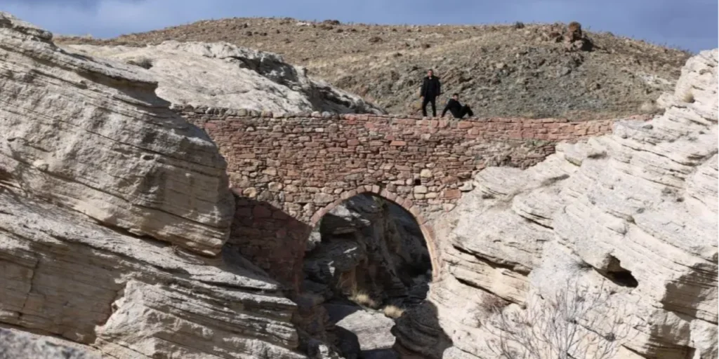 Richiesta di testo protetto da copyright: offerta di sintesi