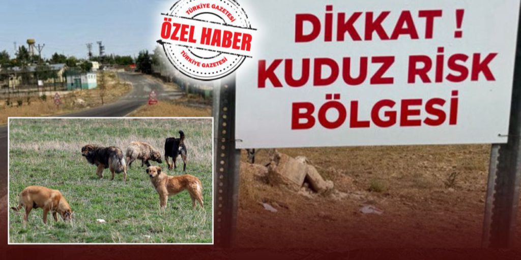 La Kuduz in Turchia: un Problema di Salute Pubblica che Richiede Azione Immediata