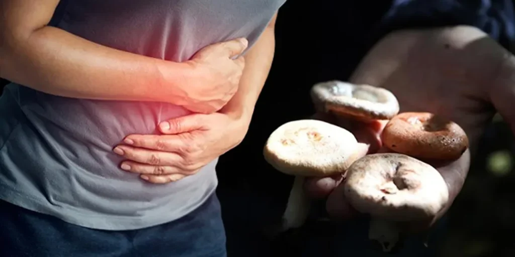 Turchia: oltre 100 specie di funghi tossici e 3.500 casi di avvelenamento all'anno