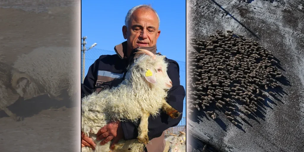 Mi dispiace, ma non ho ricevuto il testo dell’articolo da riscrivere. Per poterti aiutare a creare un nuovo titolo informativo, avrei bisogno di vedere il contenuto originale. Puoi inviarlo, per favore?