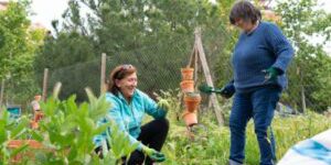 Urban Food Insecurity Is Surging – Here’s How Cities Can Respond