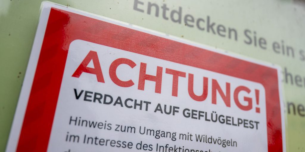 Focolaio di influenza aviaria in Germania: le gravi conseguenze per la salute degli animali e degli esseri umani