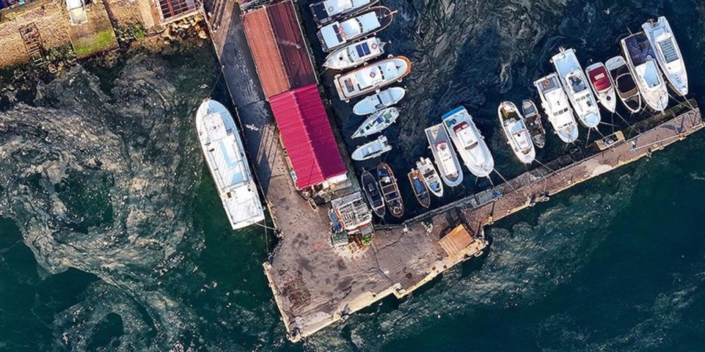 Uzmanlar inceledi: Müsilaj yok ama Marmara hâlâ kırılgan