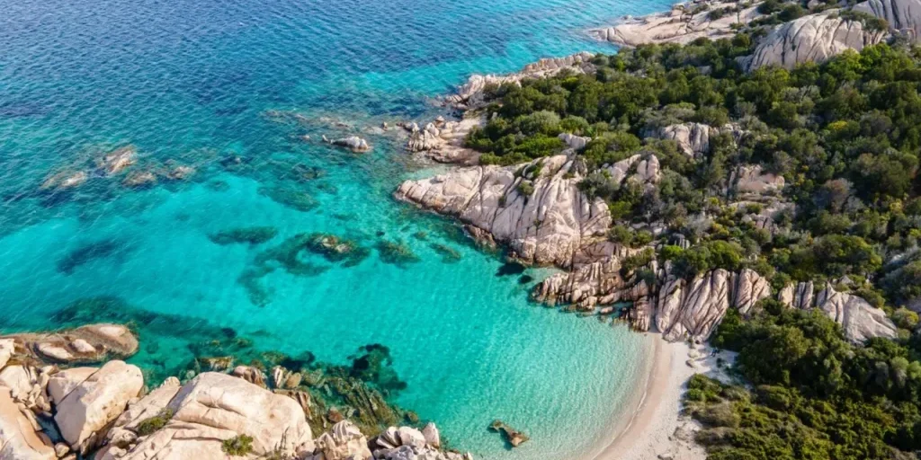 Richiesta di invio del testo originale per la traduzione e rielaborazione