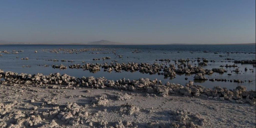 Crisi Ambientale al Lago di Van: Siccità e Degradazione dell'Ecosistema in Turchia