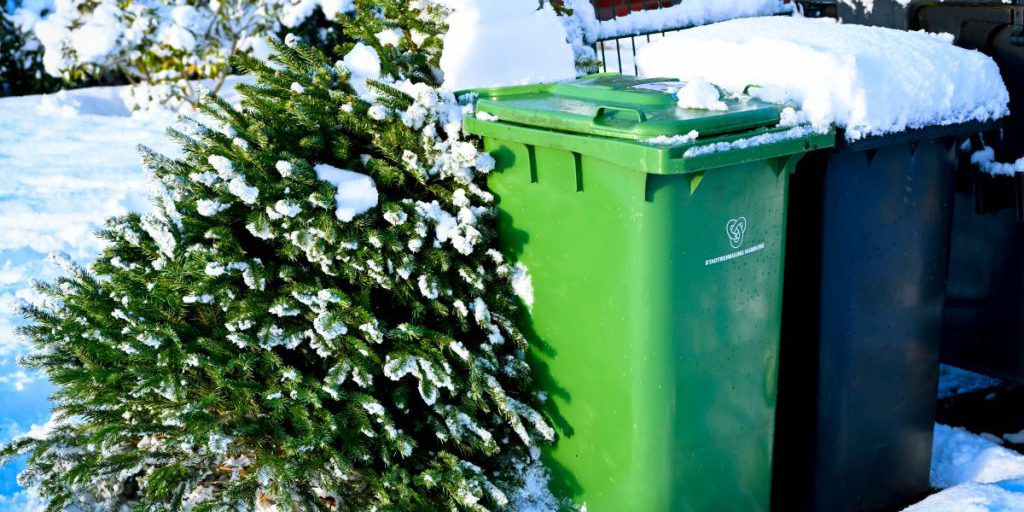 Smaltimento obbligatorio dell'albero di Natale in NRW: rischio di multa per chi non rispetta la normativa