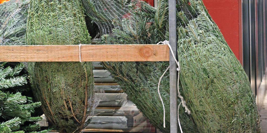 Lidl in NRW distribuisce un prodotto gratuito poco prima di Natale