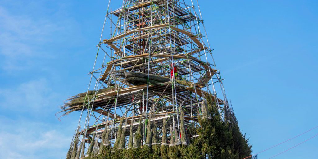 Albero di Natale unico previsto per mercato in NRW, Dortmund sorpreso