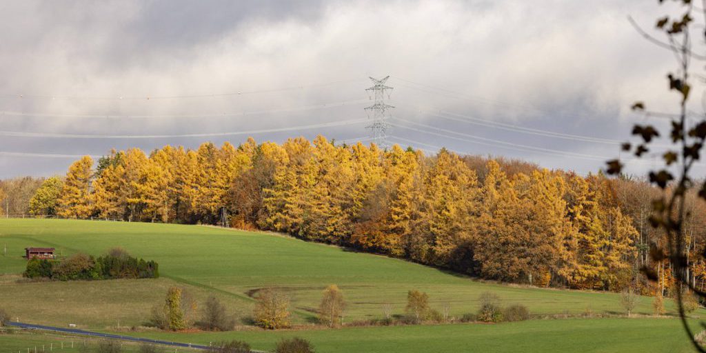 Cambiamento Climatico in Nord Reno-Westfalia: Impatto sulla Vita Quotidiana e sulle Attività all'Aperto