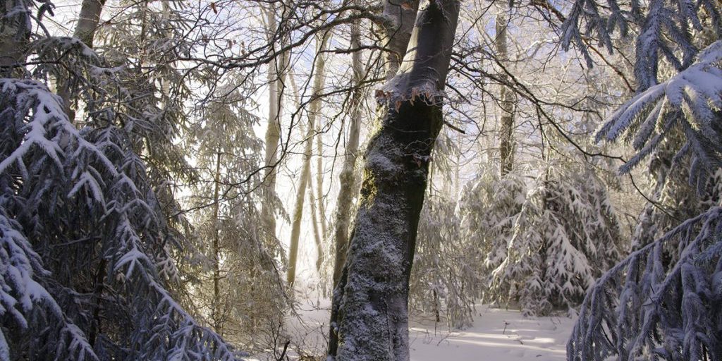 Dominik Jung: la neve in Nordrhein-Westfalen non sarà un grande caos