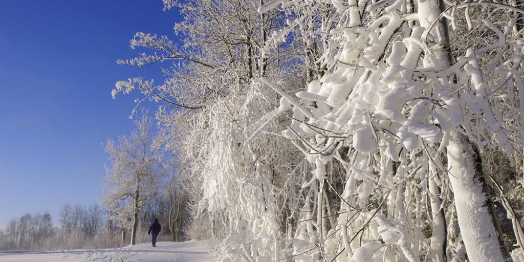 Neve massiccia prevista per il NRW: rischio di caos nei trasporti