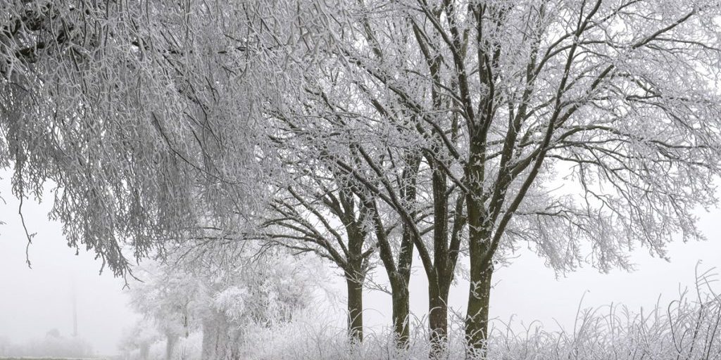 Cambiamento radicale del meteo in Nord Reno-Westfalia: da 20 gradi a neve in pochi giorni