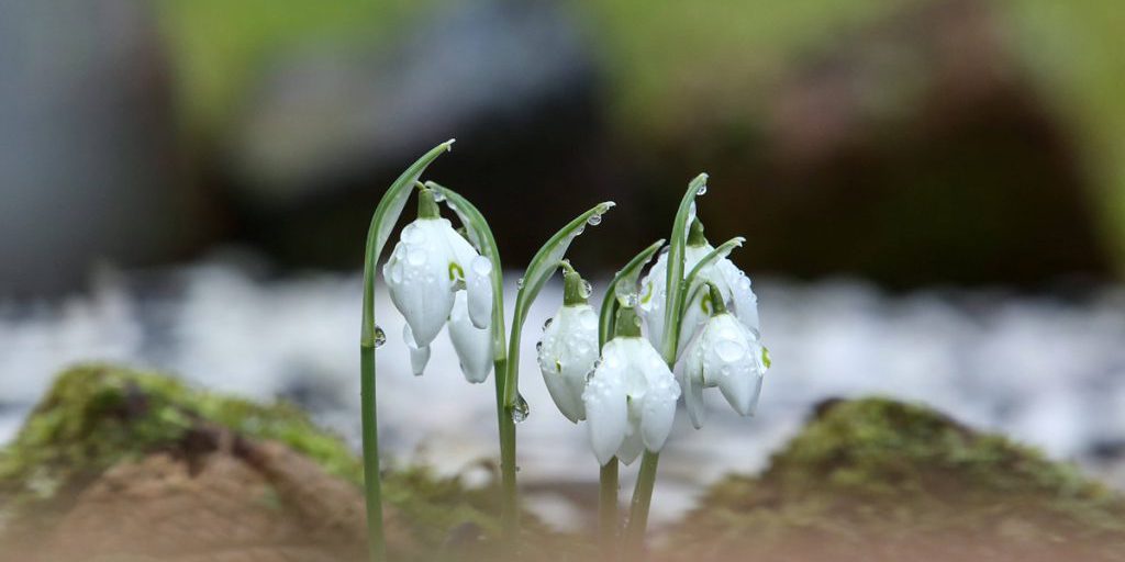 Caldo inaspettato in NRW: rischi per salute e ambiente
