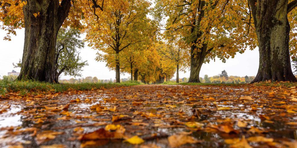 Rambazamba-Wetter in NRW! Experte von den Socken: „Haut richtig durch die Decke“