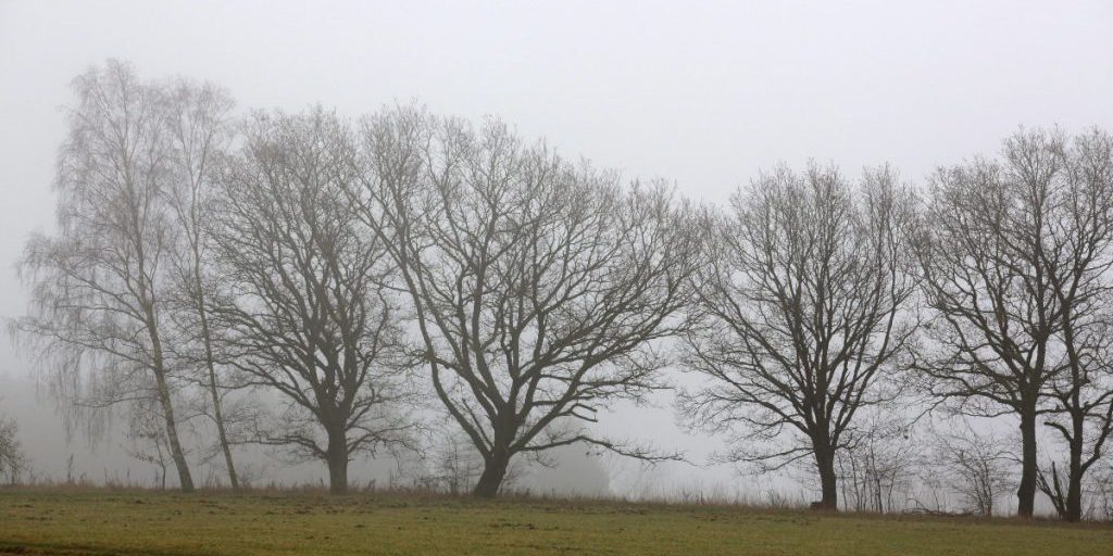 Temperatura in NRW dopo la neve: calore temporaneo ma possibile ritorno al freddo fino a -14 °C