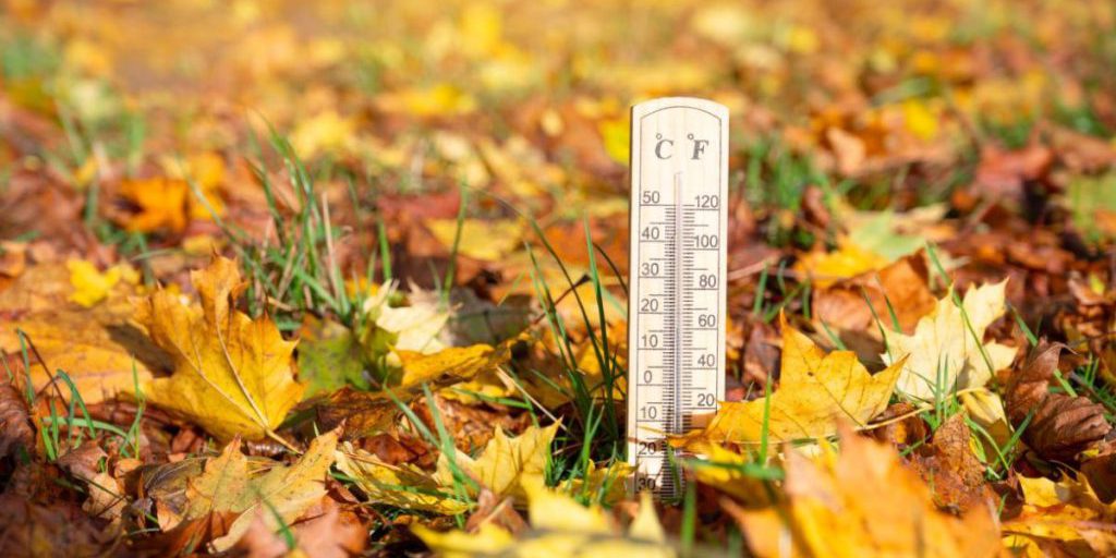 Previsioni Meteo per la Nord Reno-Westfalia: cosa aspettarsi nel mese di novembre