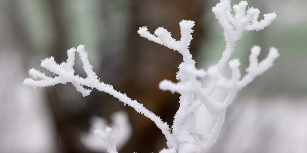 Bittere Winter-Wetter-Prognose für NRW – „Das ist dann schon ’ne Hausnummer!“
