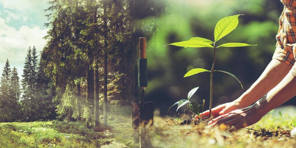 ‘Yeşil Vatan’a özel koruma! Ormanlık alanlar turizme açılmayacak