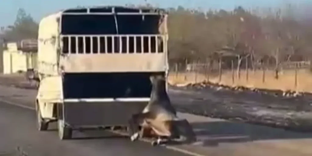 Richiesta di testo originale per procedere con la riscrittura