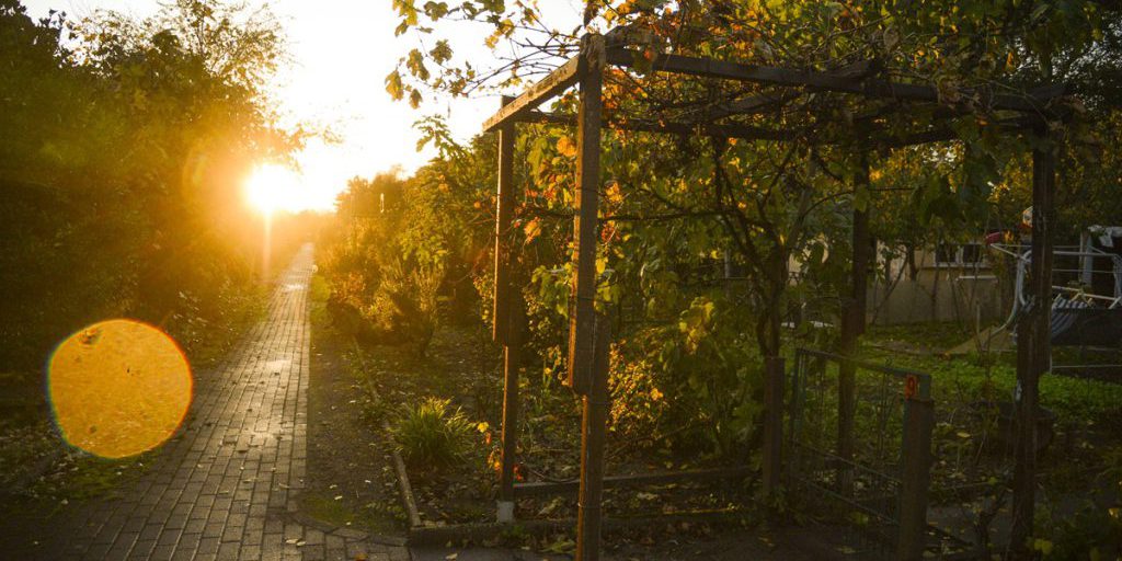 Giardini urbani a Duisburg sacrificati per l'espansione delle autostrade A40 e A59