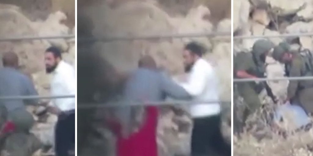 Aggressione a un agricoltore palestinese durante la raccolta delle olive: violenze e abusi nella Cisgiordania