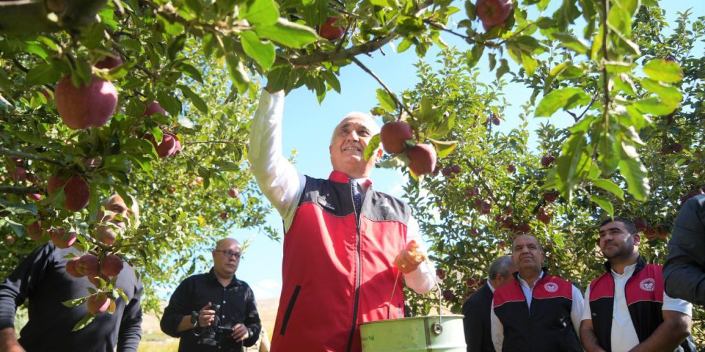 Zirai donun teğet geçtiği kentimiz! Elma hasadından 100 milyon liralık gelir bekleniyor