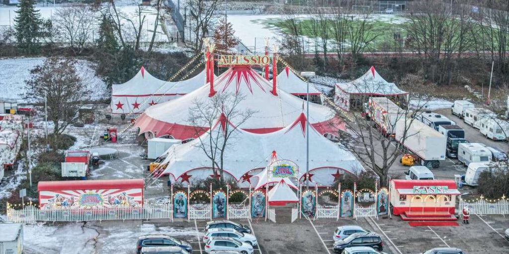 Kangaro Skippy fuggito dal circo di Aalen: colpito da un'auto ma rapidamente catturato