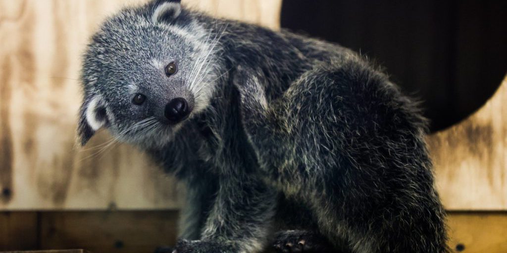 Zoo Dortmund darf es endlich verraten – Besucher sind aus dem Häuschen: „Ich bin entzückt“