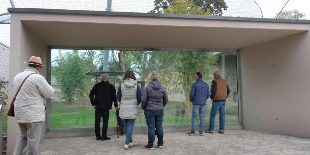 Zoom Gelsenkirchen muss sich von Affe verabschieden – doch Besucher haben es nicht weit