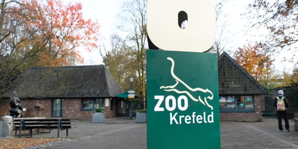 NRW-Zoo lockt Besucher mit kostenlosem Eintritt – nur in den Herbstferien