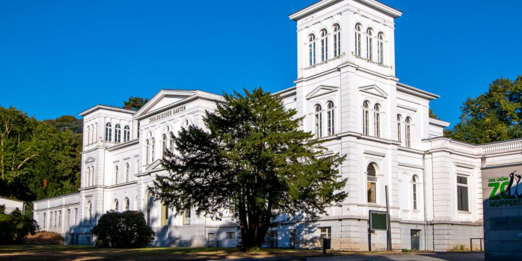 Tod kurz nach Geburt in NRW-Zoo – Tierfreunde trauern