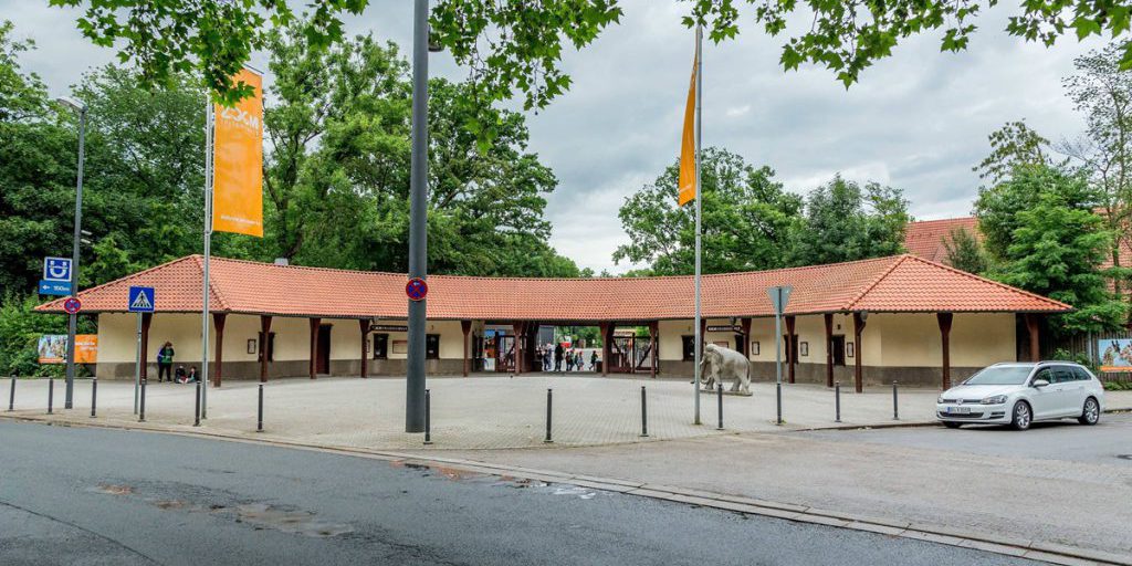 Zoom Gelsenkirchen rilascia criceti di campo e deve procedere al loro ritracciamento